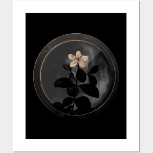 Shadowy Gardenia Botanical on Black and White Posters and Art